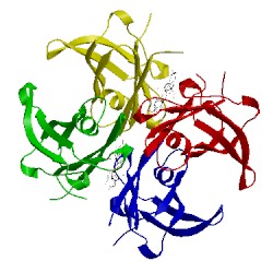 Image of CATH 1kgi