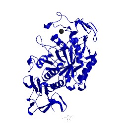 Image of CATH 1kgw