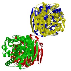 Image of CATH 1khd