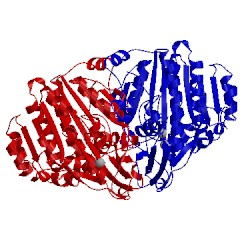 Image of CATH 1khl