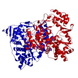 Image of CATH 1khw