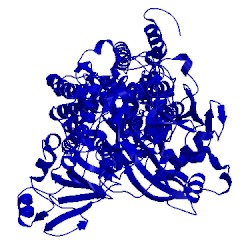 Image of CATH 1kju