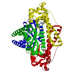 Image of CATH 1kkc