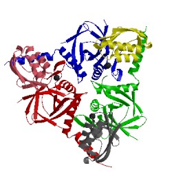 Image of CATH 1kkl