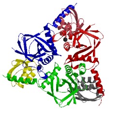 Image of CATH 1kkm