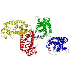 Image of CATH 1kkq