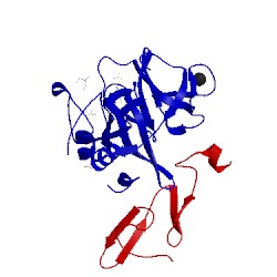 Image of CATH 1kli