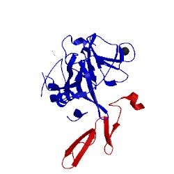 Image of CATH 1klj