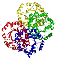 Image of CATH 1km0