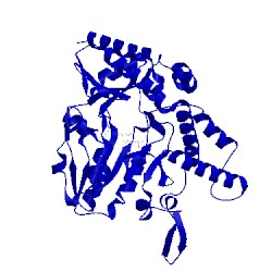 Image of CATH 1kmj