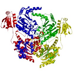 Image of CATH 1kmm