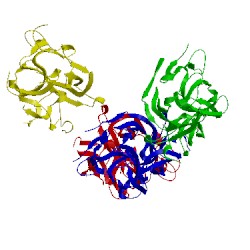 Image of CATH 1kn9