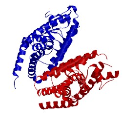 Image of CATH 1knu