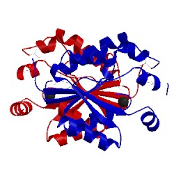 Image of CATH 1ko4