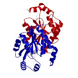 Image of CATH 1ko8