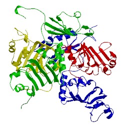 Image of CATH 1koh