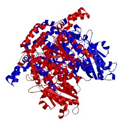 Image of CATH 1koj