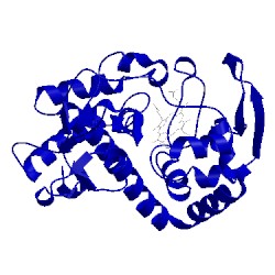 Image of CATH 1kok