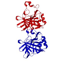 Image of CATH 1koq