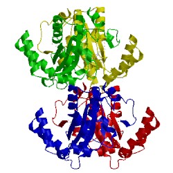 Image of CATH 1kqc