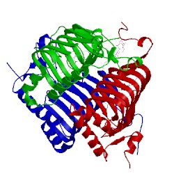 Image of CATH 1krr