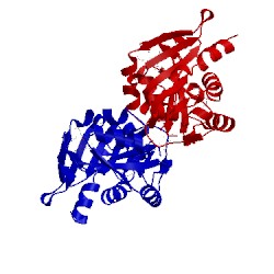 Image of CATH 1ks2