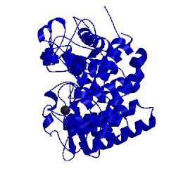 Image of CATH 1ksd