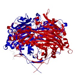 Image of CATH 1ksi