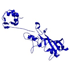 Image of CATH 1ksl
