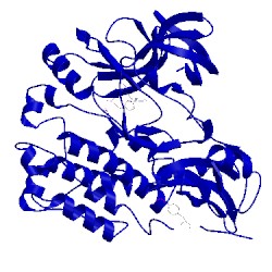 Image of CATH 1ksw