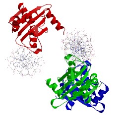 Image of CATH 1ksy