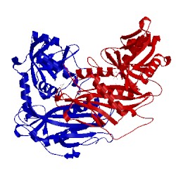 Image of CATH 1kt8