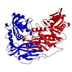 Image of CATH 1kta