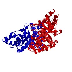 Image of CATH 1ktn