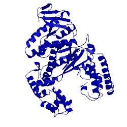 Image of CATH 1ktq