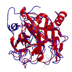 Image of CATH 1kts