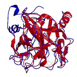 Image of CATH 1ktt