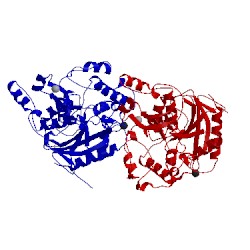 Image of CATH 1ku0