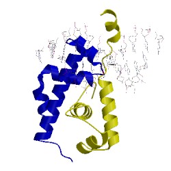 Image of CATH 1ku7