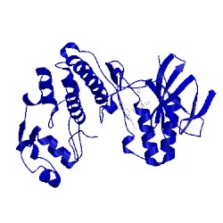 Image of CATH 1kv2