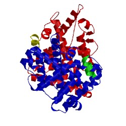 Image of CATH 1kv6