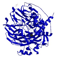 Image of CATH 1kv9