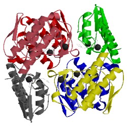 Image of CATH 1kvo