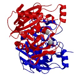 Image of CATH 1kws