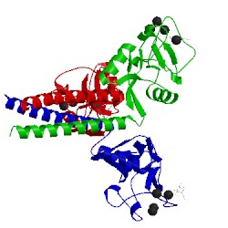Image of CATH 1kwv