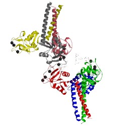 Image of CATH 1kx1