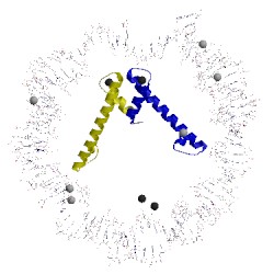 Image of CATH 1kx4