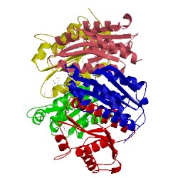 Image of CATH 1kyv