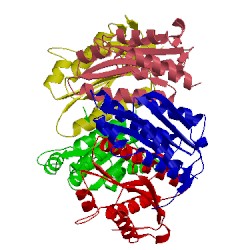 Image of CATH 1kz1