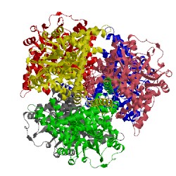 Image of CATH 1l1f